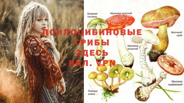 бутик Липки