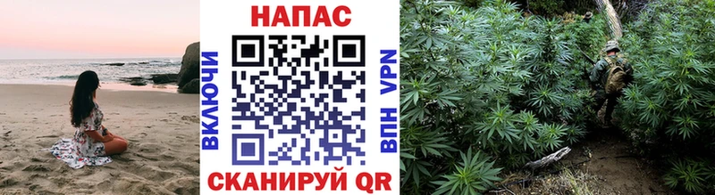 сколько стоит  Ленинградская  МАРИХУАНА планчик 